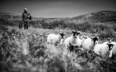 Isle of Skye small wedding at the Quiraing