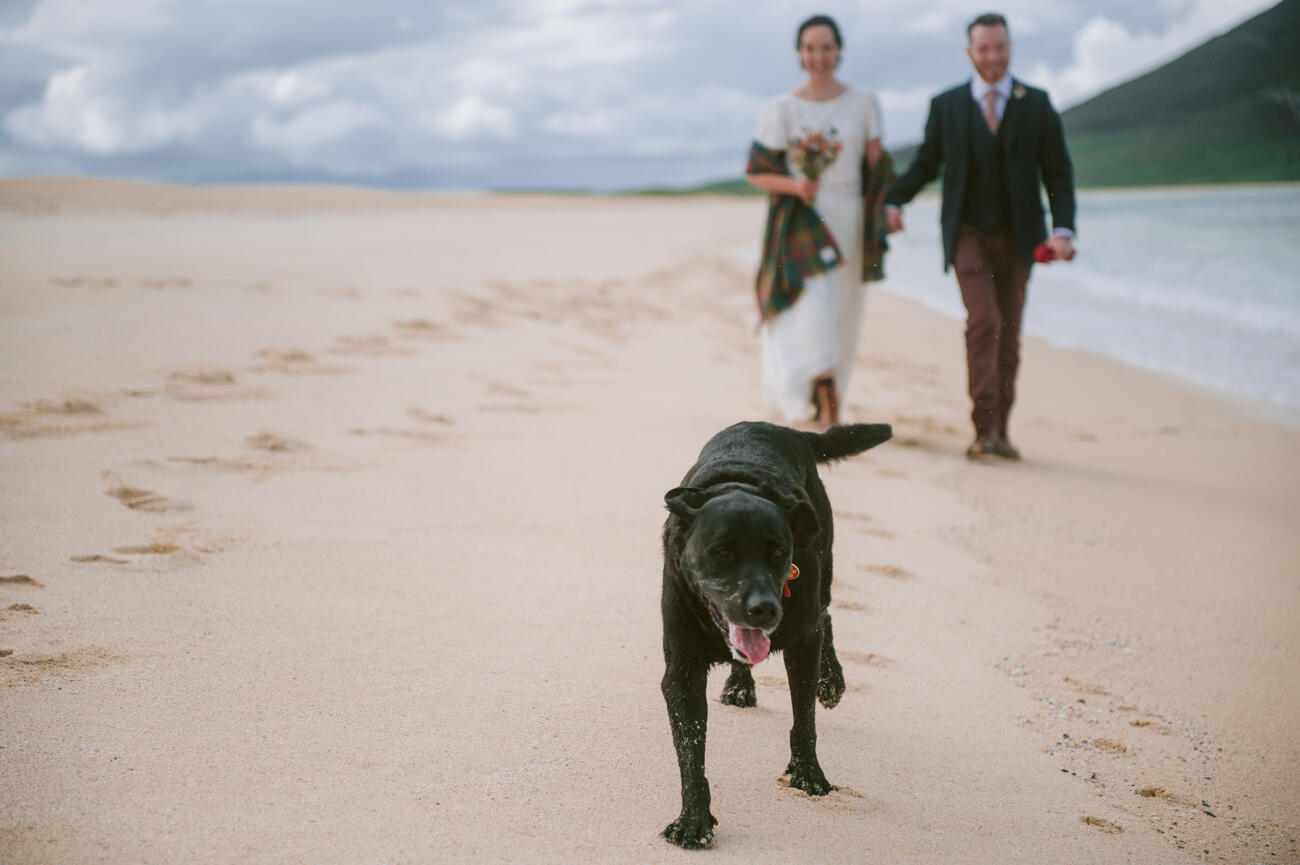 Beach wedding with dogs on the Outer Hebrides