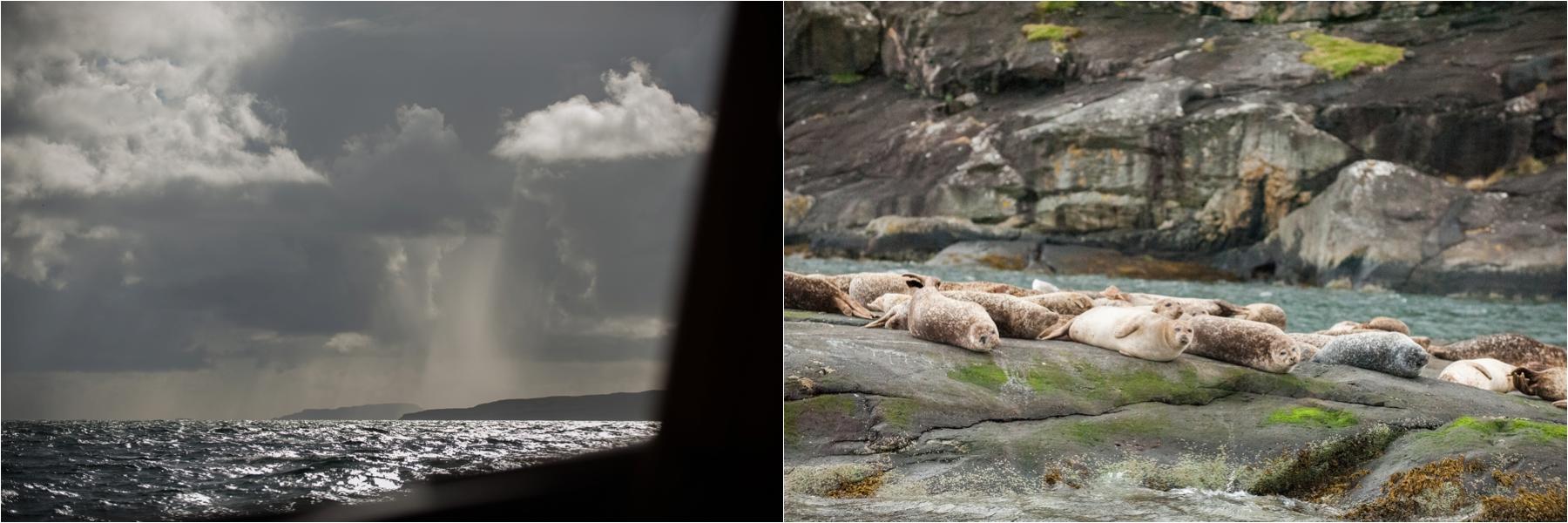 Basking seals and dramatic skies are seen from the Misty Isle boat carrying the bride, groom and their wedding guests. 